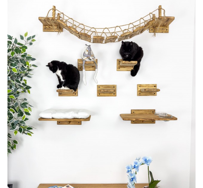 Modern cat wall furniture set with bridge