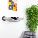Cat hammock, modern wall furniture