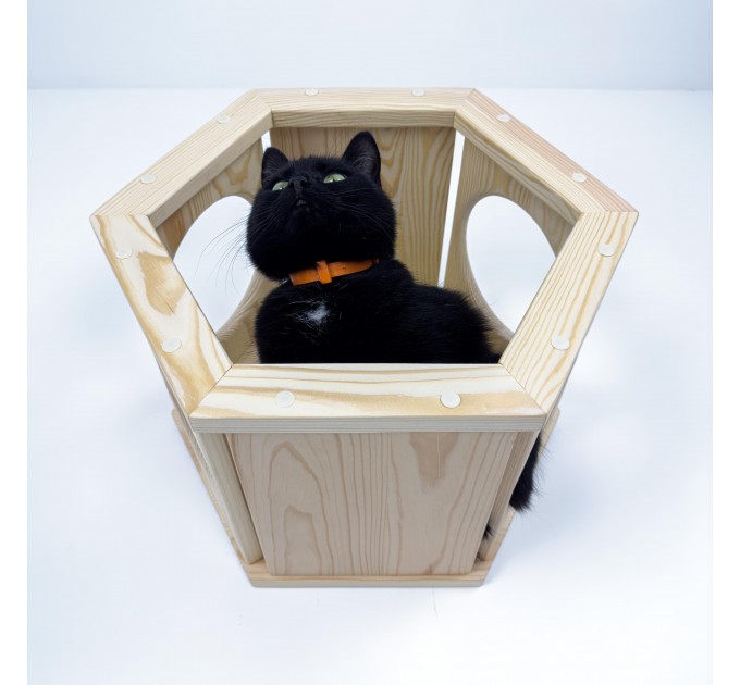 Stylish hexagon wall bed for cats – perfect for cat moms