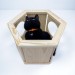 Stylish hexagon wall bed for cats – perfect for cat moms
