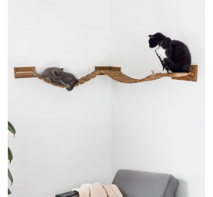 Floating cat bridge with shelves – perfect for big cats