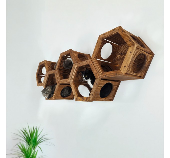 Cat hexagon wall shelf – perfect wooden climbing bed for cats