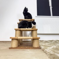Cat scratcher for kittens, scratching post