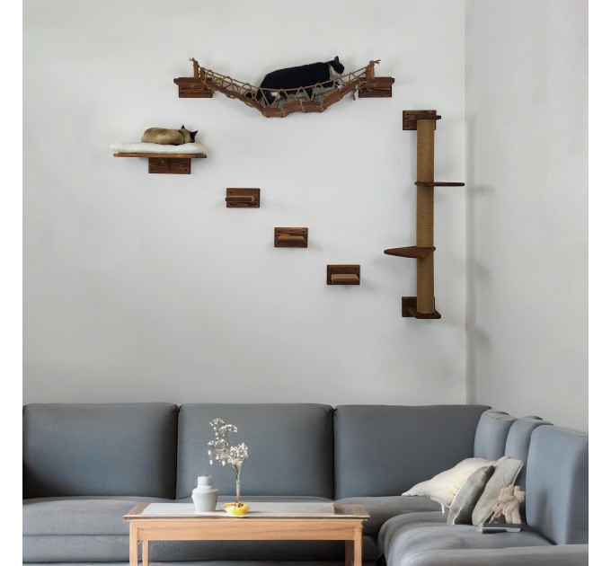Cat wall furniture set with climbing wall and steps