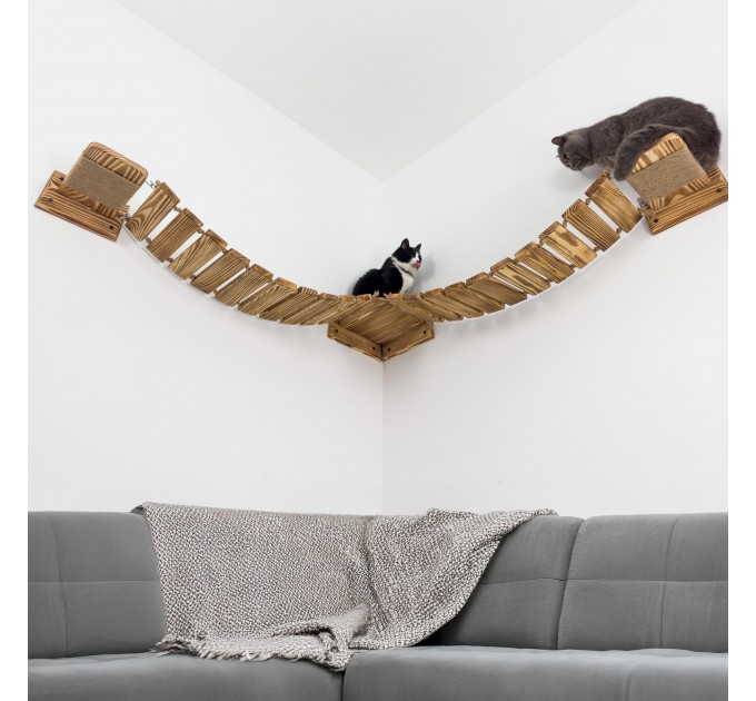 Floating cat bridge with shelves – perfect for big cats
