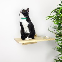 Wooden cat furniture, cat feeding station