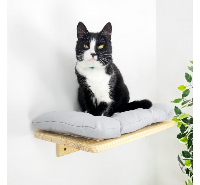 Cat climbing wall shelf