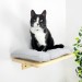 Cat climbing wall shelf