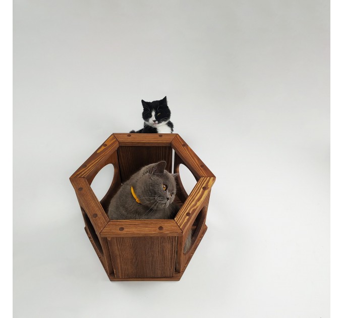 Cat hexagon perches cat hexagon bed, cat shelf cat wall hexagon shelf
