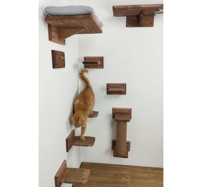 Cat wall furniture, elevated playground for active pets