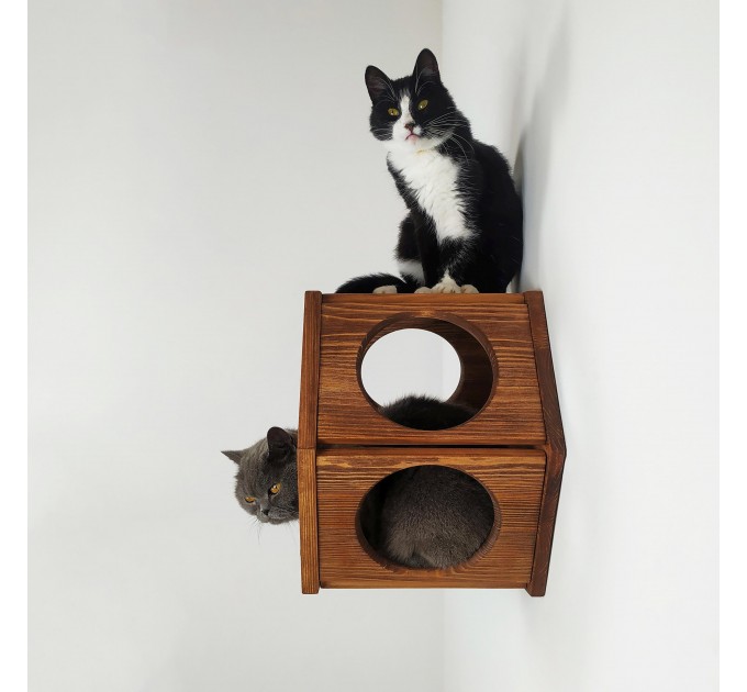 Cat wall hexagon shelf cat honeycomb shelves, cat hexagon perches
