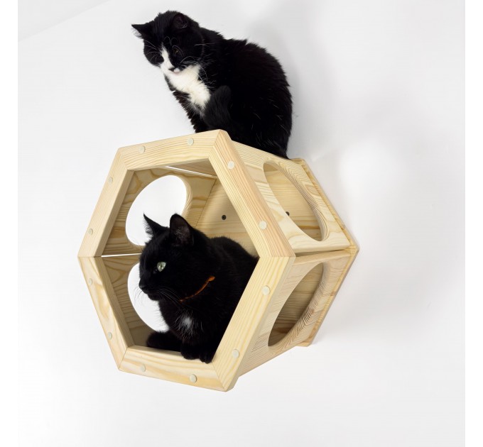Stylish hexagon wall bed for cats – perfect for cat moms