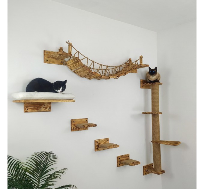 Comfortable wooden furniture set for cats