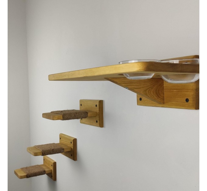 Cat wall steps and feeder shelf