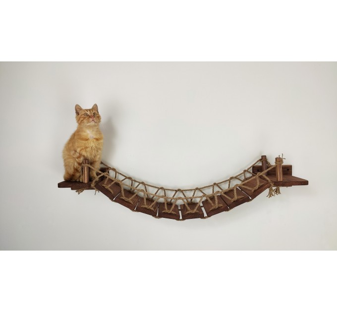 Cat climbing wall playground – bridge and step set