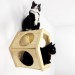 Stylish hexagon wall bed for cats – perfect for cat moms