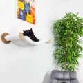 Cat swing hammock for elevated relaxation and comfort