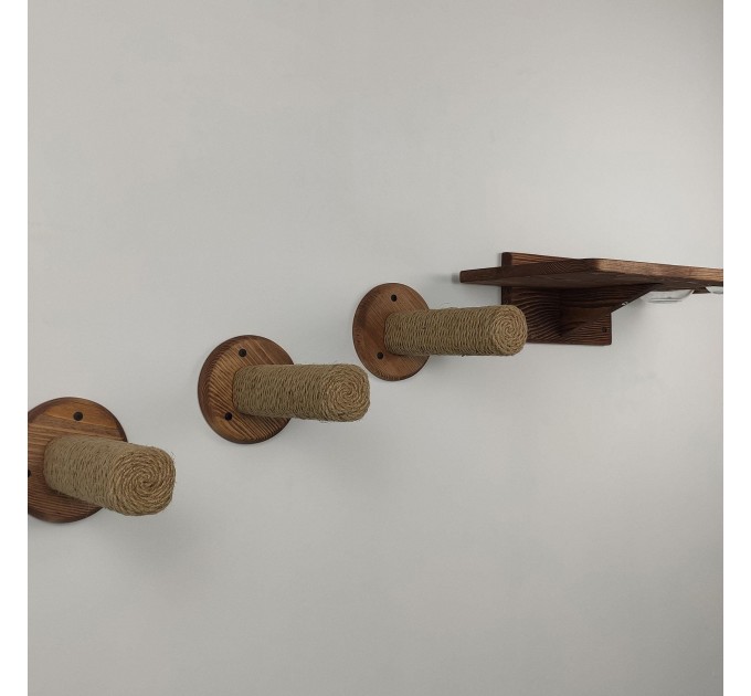 Cat shelves kitten wall furniture set