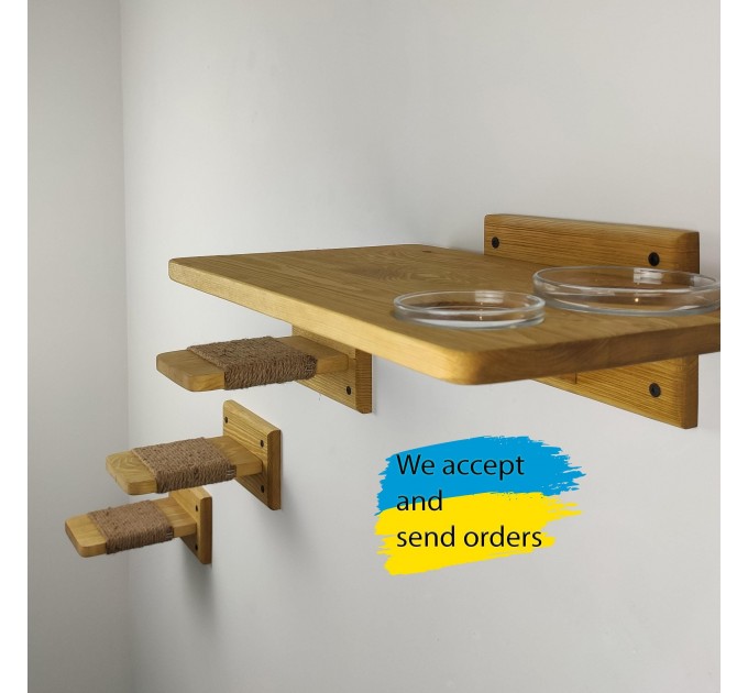 Cat wall steps and feeder shelf
