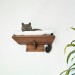 Cat shelves wall furniture for kitten