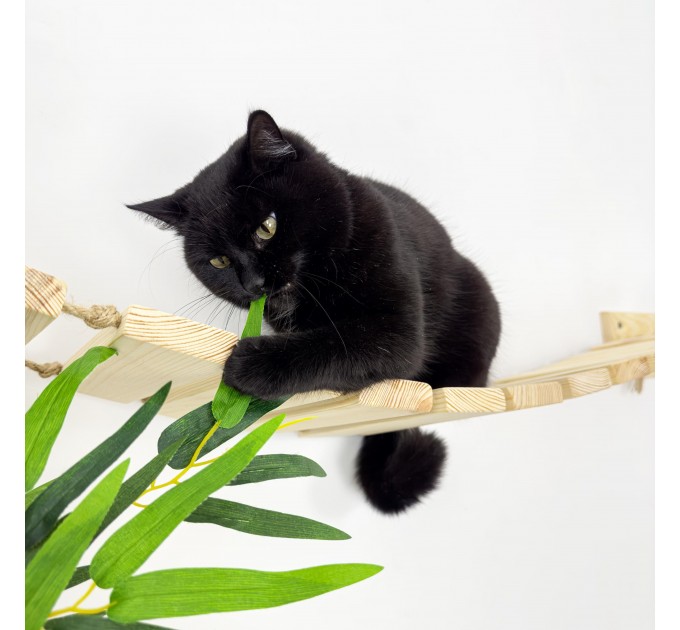 Comfortable floating cat bridge – fun wall playground