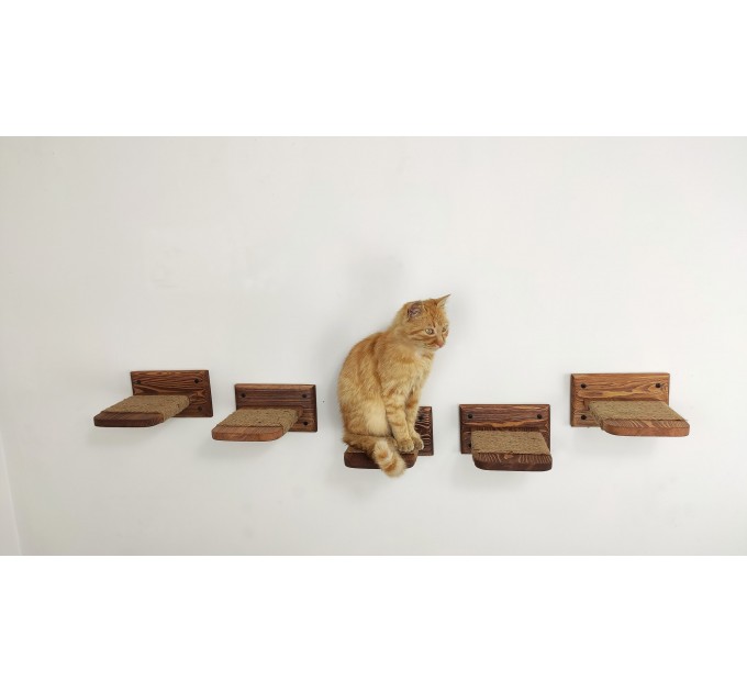 Modern furniture for cats