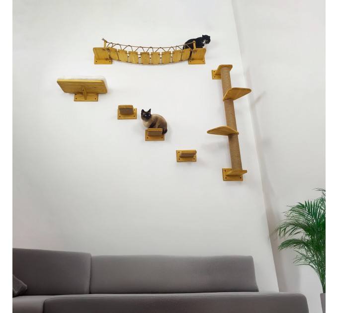 Cat wall furniture set with climbing wall and steps