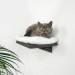Cat climbing wall shelf