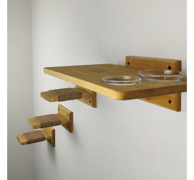 Cat wall steps and feeder shelf