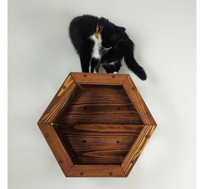 Cat wall hexagon shelf cat honeycomb shelves, cat hexagon perches