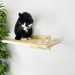 Wall mounted shelf with space for bowls