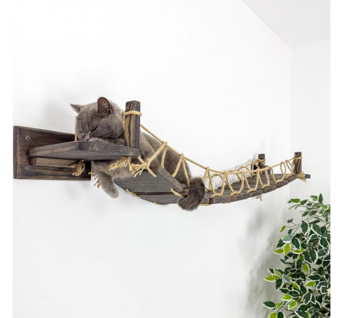 Kitten wall playground – comfortable bridge for active cats