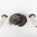 Stylish wooden wall bed, cat hammock