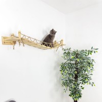 Modern wall-mounted cat bridge – wooden climbing furniture for kittens
