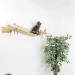 Custom wooden cat bridge for wall – stylish kitten climbing shelf