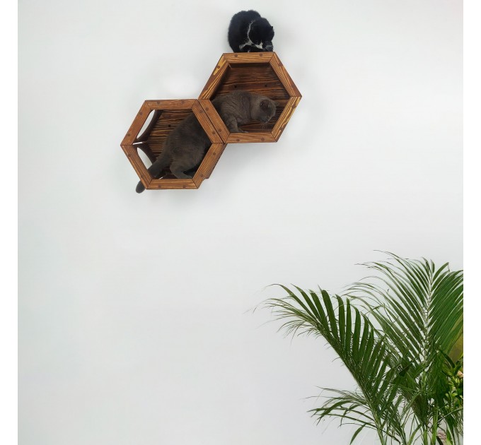 Honeycomb hexagon cat shelf – modern wooden bed