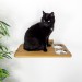 Wall mounted wooden cat rack furniture with 2 food and water bowls
