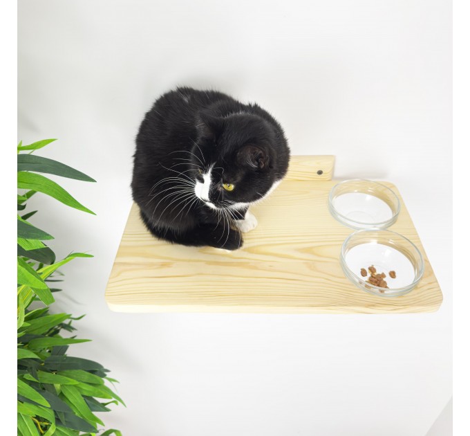 Cat shelves with space for food and water bowls