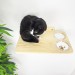 Cat shelves with space for food and water bowls