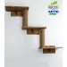 Wall mounted cat shelves and beds combo
