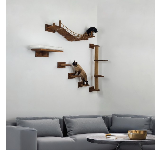 Cat wall furniture set with climbing wall and steps