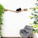 Comfortable floating cat bridge – fun wall playground
