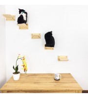 Set of 5 cat steps, climbing wall