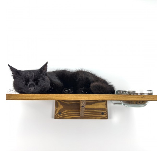 Wooden cat furniture with feeding shelf for kittens, safe and stylish