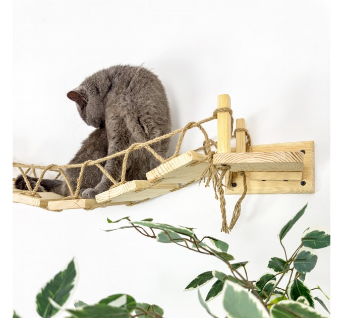 Kitten wall playground – comfortable bridge for active cats