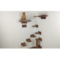 Cat wall furniture, elevated playground for active pets