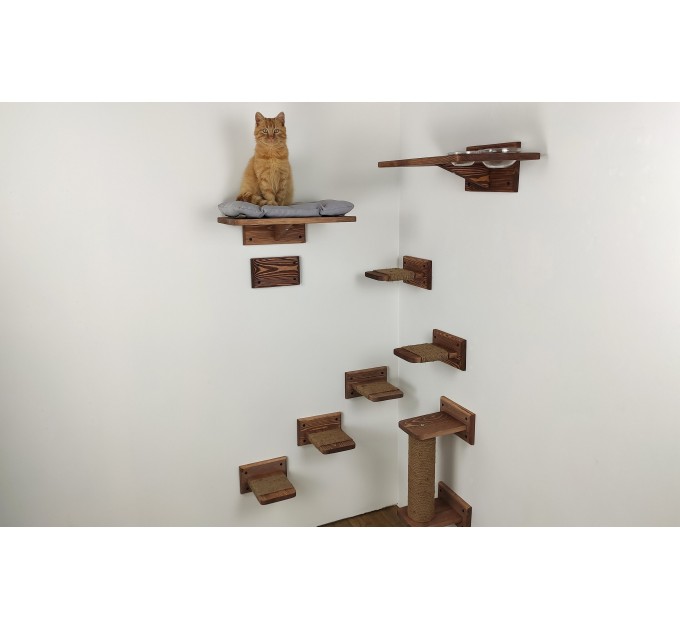 Cat wall furniture, elevated playground for active pets