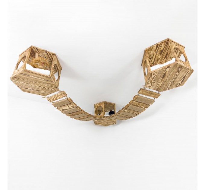 Ceiling climber with hexagon shelves and wooden ceiling bridge
