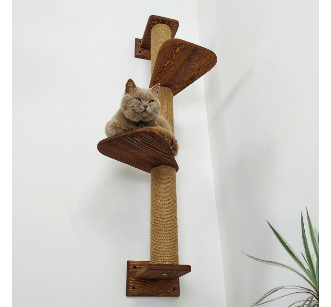 Wall-mounted cat climber with integrated scratching post