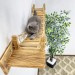 Comfortable cat bridge and wall shelves – custom climbing furniture